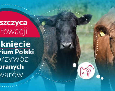 Ognisko pryszczycy (FMD -  Foot and mouth disease) zlokalizowane na terenie Republiki Słowackiej.