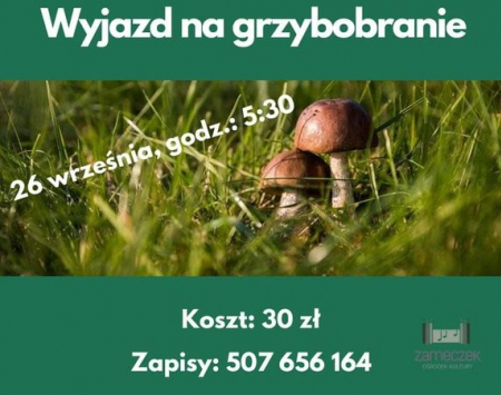 Wyjazd na grzybobranie.