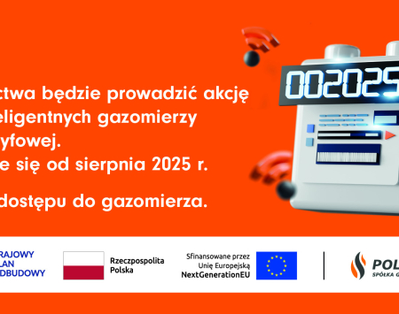 Projekt eGazomierz 