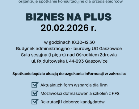 Szkolenie konsultacyjne dla przedsiębiorców "Biznes na Plus"