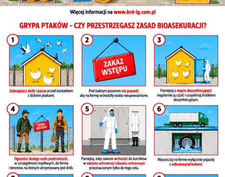 Infografika o bioasekuracji drobiu
