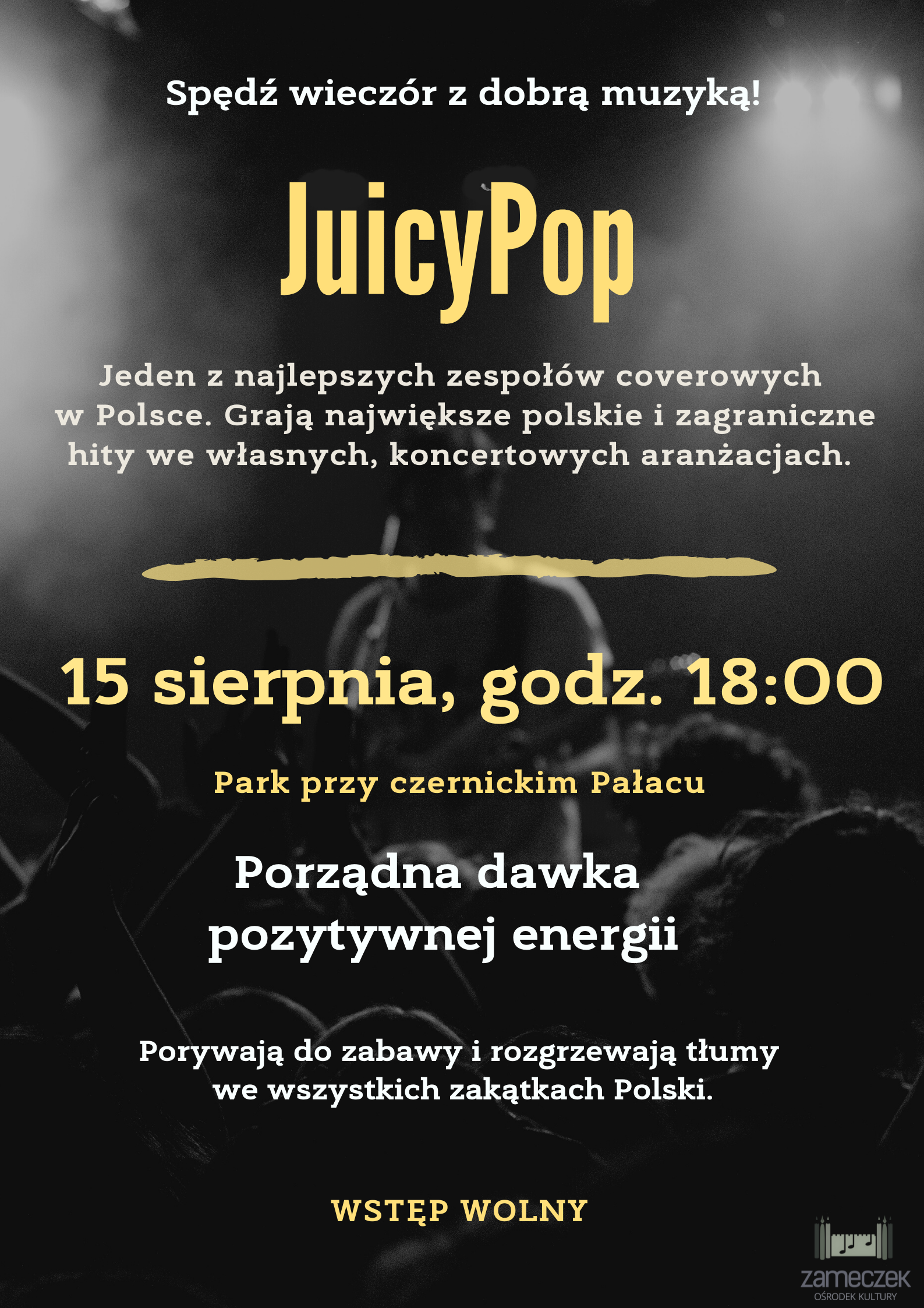 Koncert w Czernickim Parku